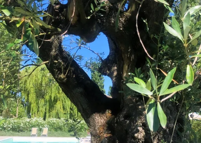 I Bosconi Feriegård Cesena